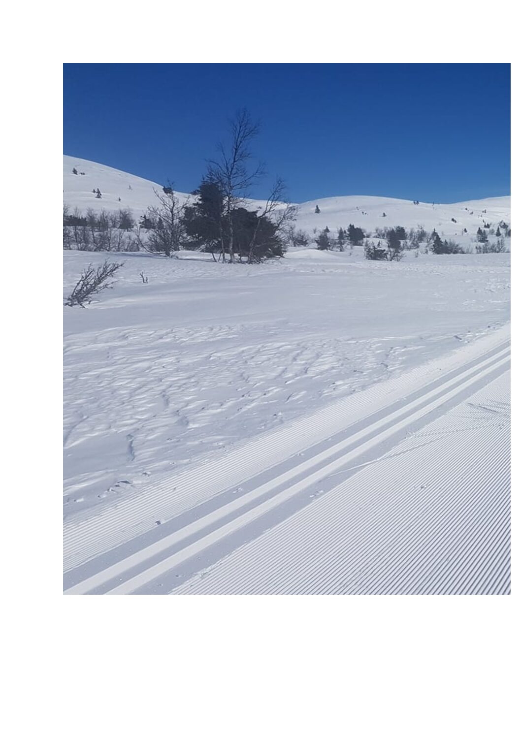 Lenningen Løypelag. Lenningen Løypelag.